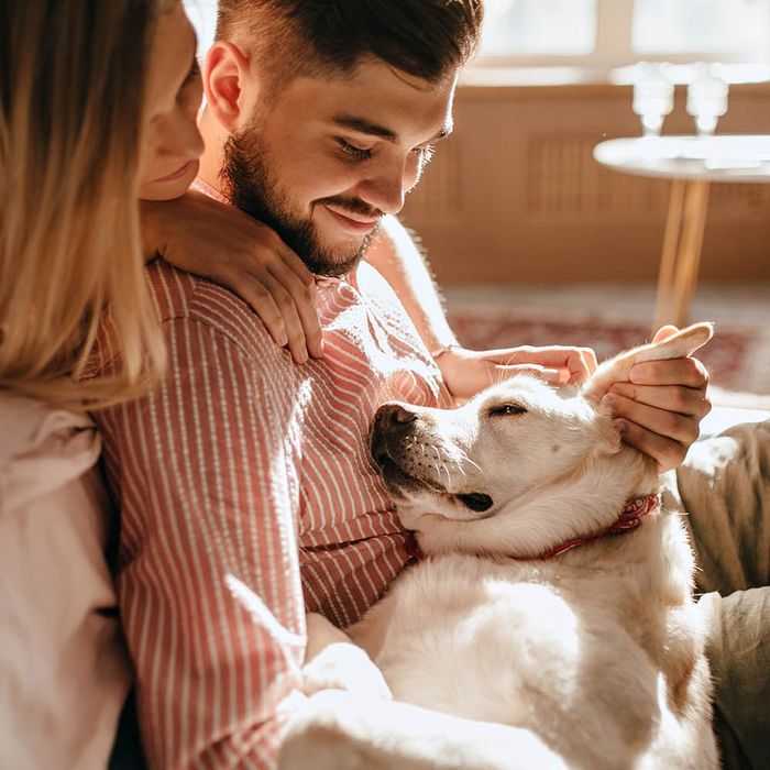 Furry Cupids: Real Stories of Proposals With a Little Help From Pets