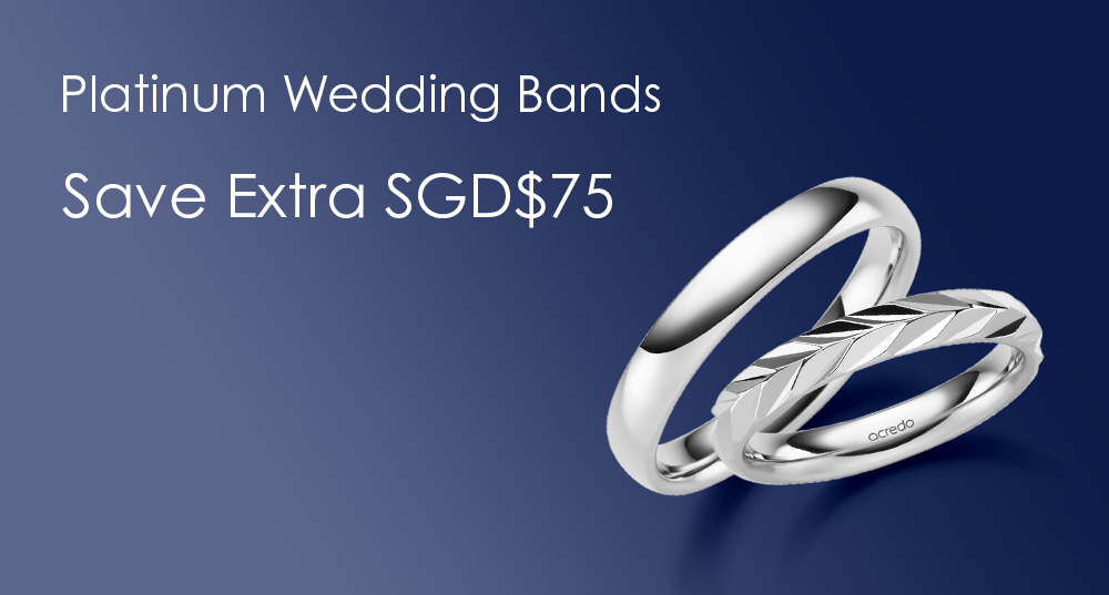 2026 03 Appointment Computer Sg 3